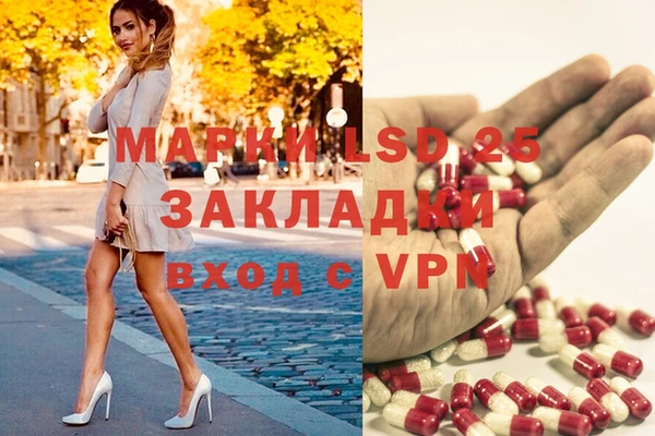 стаф Белоозёрский