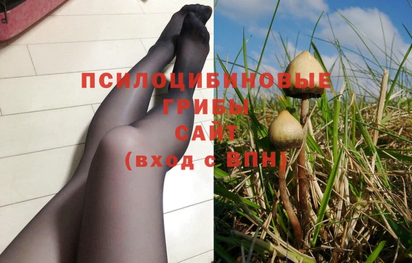 стаф Белоозёрский