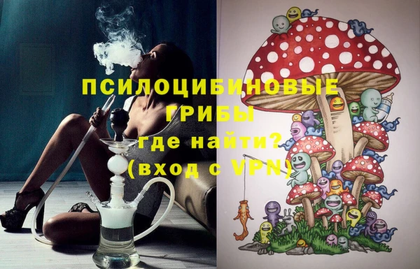 стаф Белоозёрский