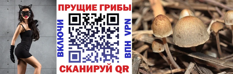 Галлюциногенные грибы GOLDEN TEACHER  Череповец 